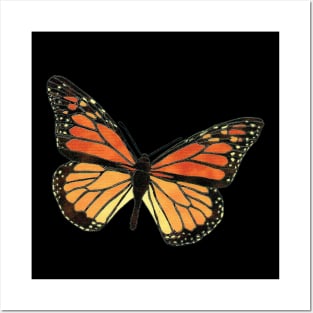 Butterfly Posters and Art